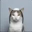 Coin image for ZewkppbnyNcRMtKuGmvtkP5cXqVN1UUBpwmZWcfpump