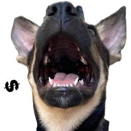 Coin image for ZkdTzo2eAbUBYz4xBoFoaLeWiHMj8569fkCsTtzpump