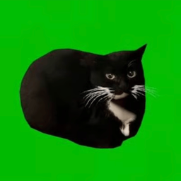 Coin image for ZkvYAAsSxZSoywLnbz8jCDzYYPVC72CPXrHfuFtpump