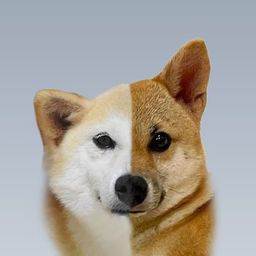 Coin image for aqnv5RagKXWPWqwYfi2bjgAtcYa7ViXBoaNQcbBpump