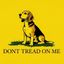 Coin image for bDz6NVehx5mr8E1e5d2c8ZAqjDe7DQWZeEKPpyvdogs