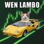Coin image for cWMrE9ePSN6F5AmSHJe9vxa7XsVywn7dKEVntoupump
