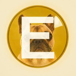 Coin image for dXWMYbKdewVNCBzis3feX2fFaTtiYFjWDPwqdXPpump