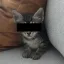 Coin image for ecatjr2S1h65QArerPFJ5awB7UQFhSpZZb5pmWZC8je