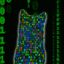 Coin image for edogY4fGAE1aNG637B66UrjDyF4iQkGXdLcdYiNyLxn