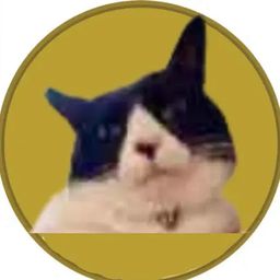 Coin image for fBM3nBdDj3Tto1YoDzZGh9PYFMFzceRrA1djQP8pump