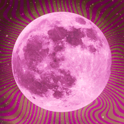 Coin image for fYJ9vYK1ZaNwPCcPkT5rtBdfWugKTUNcmNBjecXpump