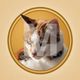 Coin image for frGWxVbidNEdcpsArmtykrHWSfBaFm2bKyDEnDqpump