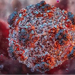 Coin image for fxSw9C8VfsnUnb3boApAGuL8d2yraqD7SLqrbbEpump