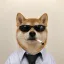 Coin image for gNQ8KPKEnGfFqbJrJBQWTwZjr7G3hNpH6n1GbPTpump