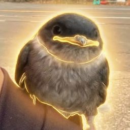 Coin image for gpGLoKdWWkdzyTTY4Ztf8vSnyAMKKdaFSZNjeVupump