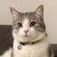 Coin image for hL7KsP5CJMEpi4eXHUNkUd1VsJigCrWw3a446bBwF5E