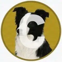 Coin image for hkXg4ygsQ3aUdvkK2g7EyrNWvMdhzv4QHxkXVJcpump