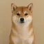 Coin image for iPSeKiqfR16ekKzCw8mGrr328J6q7zAe6GDXuM5pump