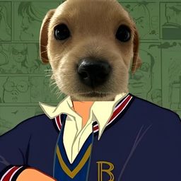 Coin image for irHVKCHuEBTM2SureTKjPknKjvkftsNdTYTk7ZYpump