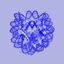 Coin image for iv9nCDwvPXJgVDWb4RNJtuW4JUujAYdPb3VVrRgpump