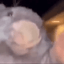 Coin image for ixoQQk7wxt5dJKFCsetM2vUp1EnsKzPPGQMW3kUpump