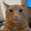 Coin image for jaiD5h9SJWSE1vNd4d8GbScq27fftKSxhY6wuWspump