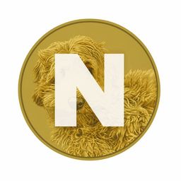 Coin image for js5cVKupYDrq7UBcgfJWMSF7stmTH7bKzxKKq3Zpump