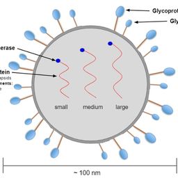 Coin image for jvKtLFLnNGPM7edS9KEpYqPxuY8HPGTZohLFM4Spump