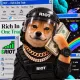 Coin image for kKRCJ5MMR8tXmAwSCEPsr3dKP6gKC3CpJ8Mw4fdpump