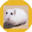 Coin image for ks5NFrrkupr4FHEHUref1MSJdXvzocfwRL7quR4pump