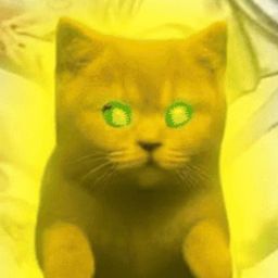 Coin image for kvC7zoXrmCvbZwQMfq2aFqFMetj9E1ep51SuB6Apump