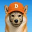 Coin image for mKfZSPkxrYm24vmsFMuC8pRfpzd5dx2mMPzJmv2pump