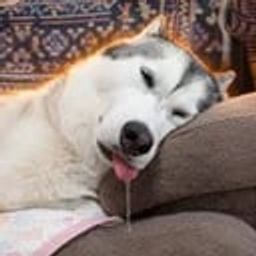 Coin image for mNXLqe8cpJPSfTb9imWKMULMHLb3XfQPmKZYRmrpump