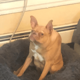 Coin image for mhHNgkBoy2fVmKoTxszYnzthR6ioph3XphFy8DFpump