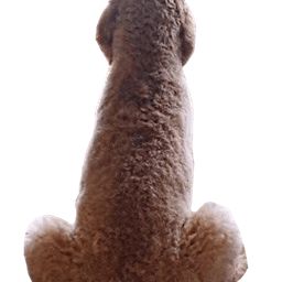 Coin image for nuSoCNJZzXd3Howm61qQtA7omKSXoaJGaPojUbnpump