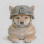 Coin image for o7p99A7tLdETUB4DCNzenDHkjBL2HMAWq2tn8kgpump