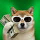 Coin image for oTydzwTVRJNnUafwZc9W7a2ZTscwWoqZmYJRzWbpump