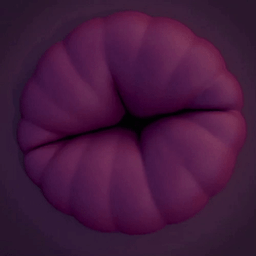 Coin image for okNUA7upzswhY9ipypXQZtcf7oUMbF6eQRe6UtQpump