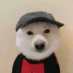 Coin image for pumpdHyXUSZ4VBZXmihSnNMK1wbidAKgkL1NoP1oFsE
