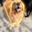 Coin image for pumpejwxdovNpkJrCMZNFZV5sURzi7L1YYtHLMAdFcC