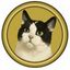 Coin image for qSFvsJQsDJJU1zQdMefT6TZjEsX7Y6g4Ui2Qepqpump
