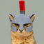 Coin image for rEhMNw1jWHQZzdPuD5RBdXprz5yoUkMN4i8NsMMpump
