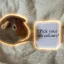Coin image for rFFtxV2DpQMMqFtXaQ3fFaUzcUBJbNF4WJaTuAEB7AH