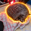 Coin image for skz3JQHXKFzWnNpc9jidPwqbcT6gMLDgHzTY4TGpump