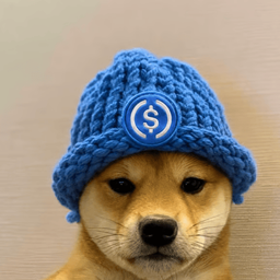 Coin image for soNhmByEFsdytSdChSH6c4WgrhChAdPDyT8r9y2pump