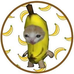 Coin image for t9tnL9yorAM6cQz2iBA1JBzVZ1WGCpVyQQCFseDpump
