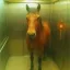 Coin image for tbaKUBUxiskiuKV8r5uKKcbA8n3rTiooU2vpT4Gzhkj