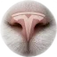 Coin image for uJKpoZXHGDAqqr4Hf3YyNcP4bBdVRX7UyHTFVArdUhE