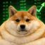 Coin image for vPiZLFn6JnhtCjmrkdfvdG2Lav2RqbnMXqq4WGCZQ99