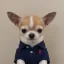 Coin image for vRqUPbYodwPKqsZEmhNpJNzHftQDAUw8YhoP1M4pump