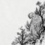 Coin image for w2Q1Xh5HvBysJpEJq521Lyu16AN1FUxWTHcqMeuxnJ1