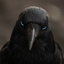 Coin image for wXutcSu31mSJ6JFSrCLck9JhaUPCEjAr37tmLKSpump