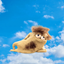 Coin image for xSL8gWLpjjZKThfwrQb2n1Mm2KHXtcPwDzAtfLXpump