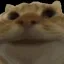 Coin image for xTVWPNLHVJxGpAUZsKZjz2GHiCazZdsZyNvbedgpump